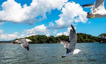 【逸行自由行】北京到福冈-熊本-大分-北九州(