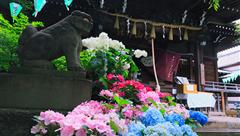 白山神社