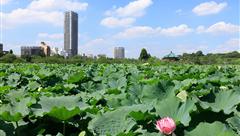 上野恩赐公园